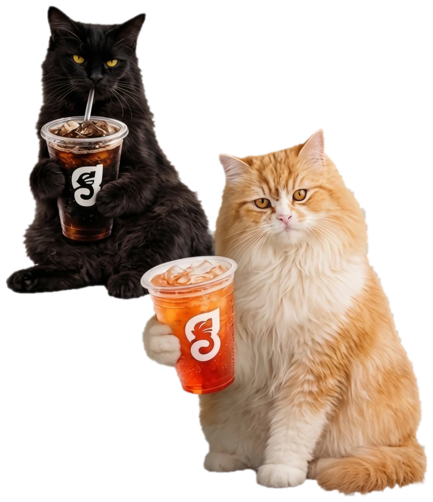 Kucing hitam dengan es kopi dan kucing oranye dengan jus mangga