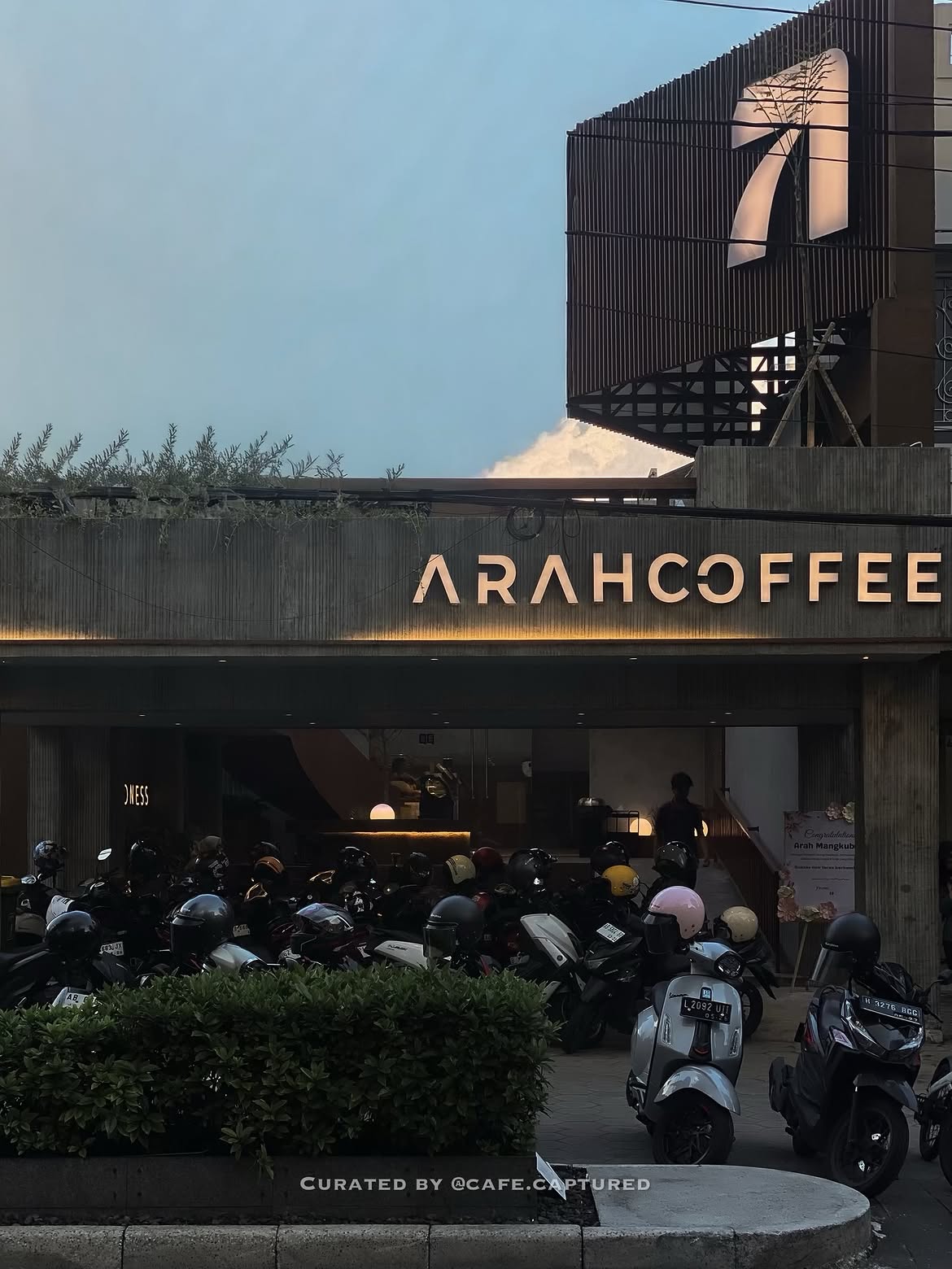 Barista