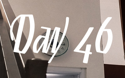 Day 46