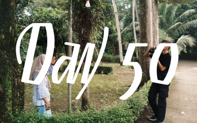 Day 50