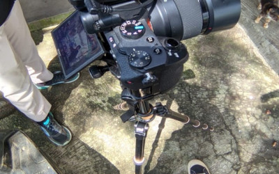 Kegiatan PKL Day-10 di HVD Records