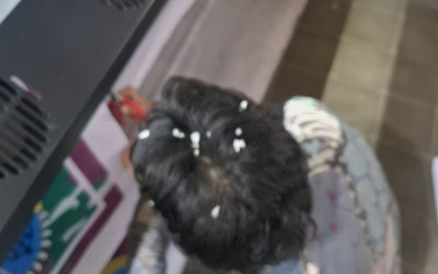 Laporan Proses Kerja Lapangan Hari ke67 di Caraka Digital Printing