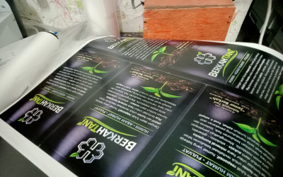 All Day Grind — Caraka Day 45